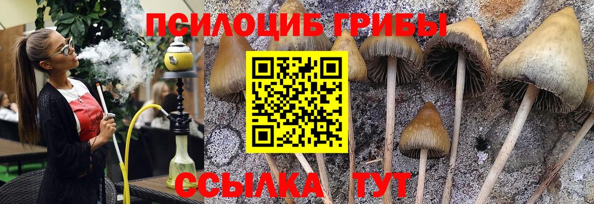 Псилоцибиновые грибы GOLDEN TEACHER Новый Уренгой
